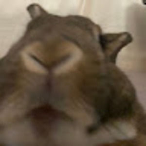 Meet your Posher, Krysta